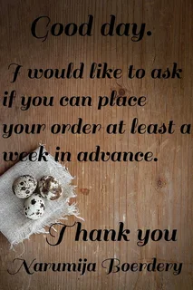 Quail eggs for sale &amp; scissors / Kwartel eiers te koop