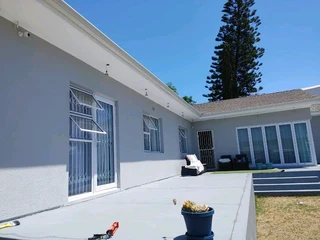 Professional Painter