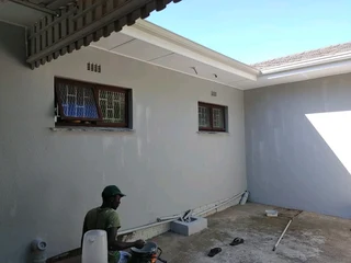 Professional Painter