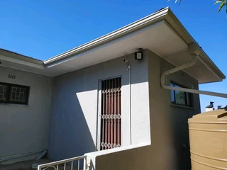 Professional Painter