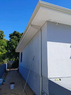 Professional Painter