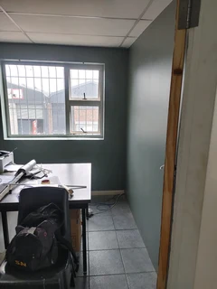 Competent Painter In Town