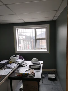 Competent Painter In Town