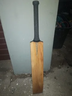 Beast Cricket Bat
