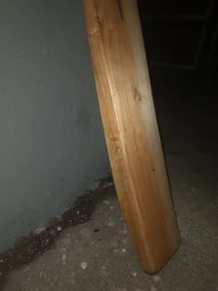 Beast Cricket Bat