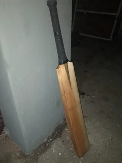Beast Cricket Bat