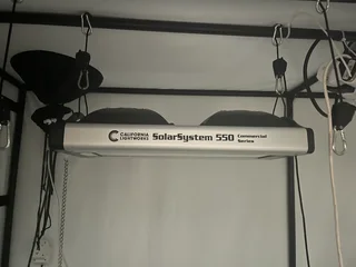 Cannabis growing suppli