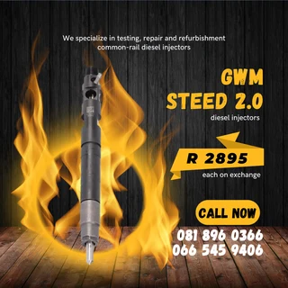 Gwm Steed 2.0 Diesel Injectors For Sale