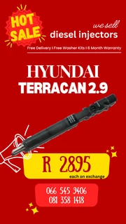 Hyundai Terracan Diesel Injectors Fgor Sale On Exchange