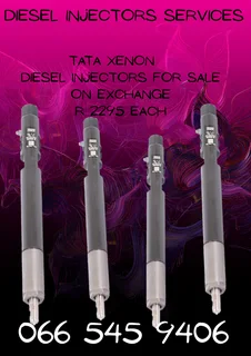 Tata Xenon Diesel Injectors For Sale On Exchange With Warranty