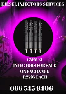 Gwm 2l Diesel Injectors For Sale On Exchange