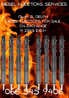 Gwm 2l Delphi Diesel Injectors For Sale On Exchange With Warranty