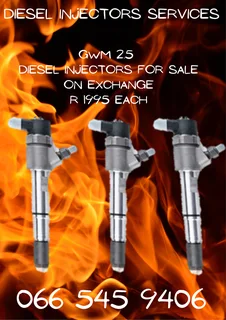 Gwm 2.5 Diesel Injectors For Sale On Exchange With Copper Washers