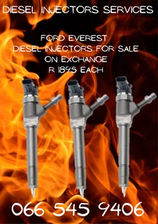 Ford Everest Diesel Injectors For Sale On Exchange Or To Recon Your Own