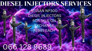 Nissan Np300 Diesel Injectors For Sale On Exchange Or To Recon Your Own