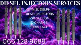 Gwm 2l Delphi Diesel Injectors For Sale On Exchange Or To Recon