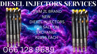 Gwm 2l Brand New Diesel Injectors For Sale On Exchange
