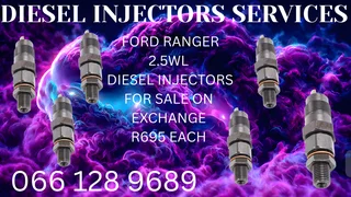 Diesel Injectors For Sale On Exchange Or To Recon Your Own Call Me Today For Assistance