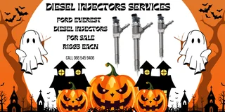 Ford Everest Diesel Injectors For Sale On Exchange Or To Recon