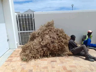 Garden waste and Furniture Removals