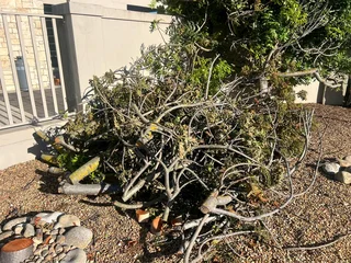 Garden waste and Furniture Removals