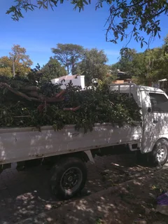 Waste and Rubble Removal