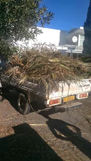 Garden waste and Furniture Removals