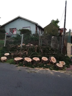 Rubble removal, garden refuse removal, junk removal, garbage removal and furniture removal