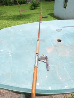 Shad Fishing Rod