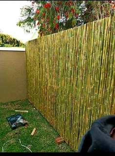 Bamboo and wooden fencing