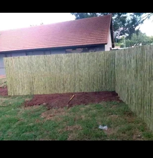 Bamboo and wooden fencing