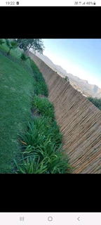 Bamboo and wooden fencing