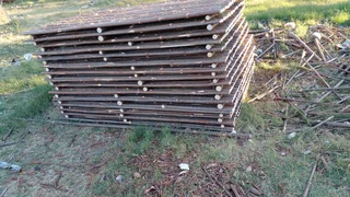 Bamboo and wooden fencing