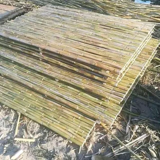Bamboo and wooden fencing