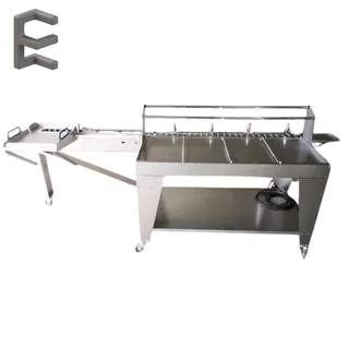 Large Egg Grading Machine