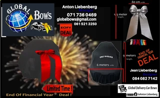 End Of Financial Year DEAL. Car Cover and Car Bow.