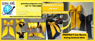 New Car Bows