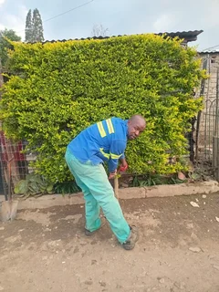 Very Hardworking And  Highly Recommended Gardener, Cleaner  And Housekeeper From Malawi Needs Work