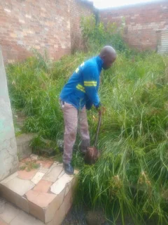 Landscaper,gardener and hardworking housekeeper looking for live in or live out position