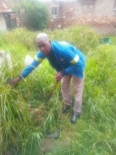 Landscaper,gardener and hardworking housekeeper looking for live in or live out position