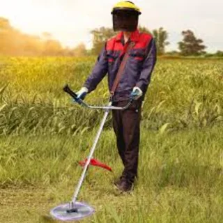 Cutting Grass, Trees and Cleaning