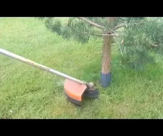 We Cut Trees, Grass