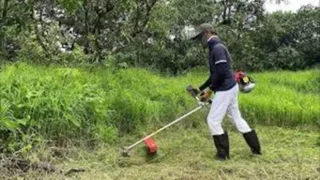 We Cut Grass, Trees and bushes