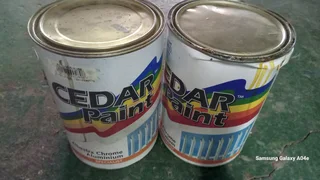 Paint - Ad posted by edi bomvana