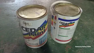 Paint - Ad posted by edi bomvana
