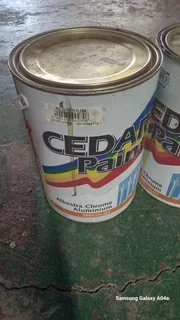 Paint - Ad posted by edi bomvana