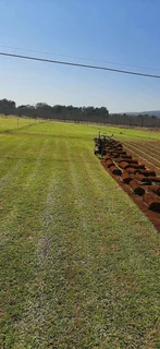 High quality instant lawn