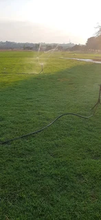 Instant lawn.(LM and kikuyu grass)