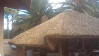 Thatch Roof Repairs &amp; Maintenance – Cape Town &amp; Western Cape