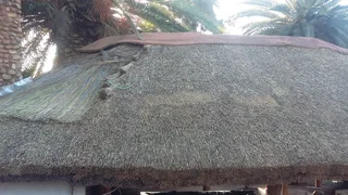Thatching Services for Homes & Lodges – Cape Town & Western Cape